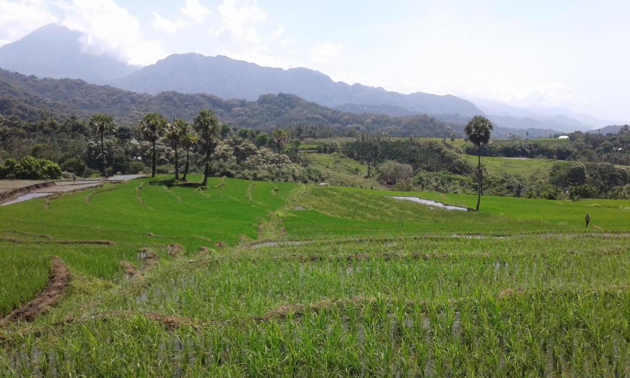 Kristian Homestay Bajawa Esterno foto